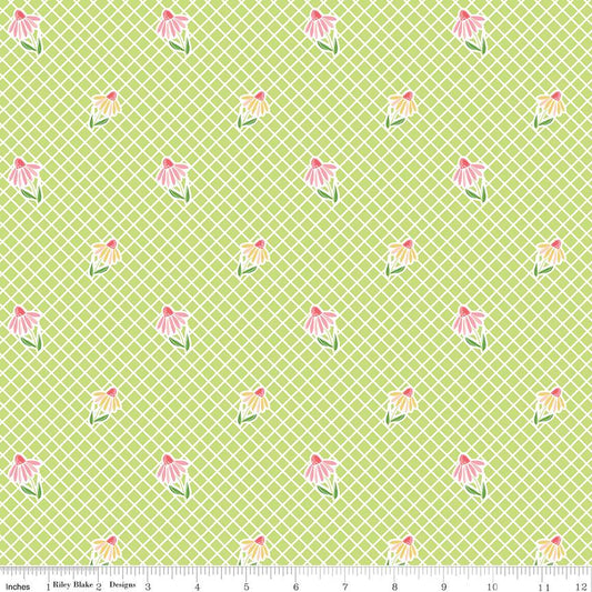 Summer Skies and Fireflies Cone Flowers Lime by Gracey Larson for Riley Blake Designs - C16372-LIME