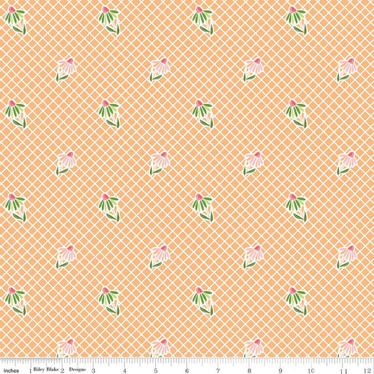Summer Skies and Fireflies Cone Flowers Orange by Gracey Larson for Riley Blake Designs - C16372-ORANGE