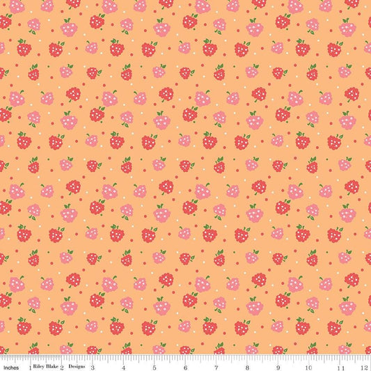 Summer Skies and Fireflies Raspberries Orange by Gracey Larson for Riley Blake Designs - C16374-ORANGE