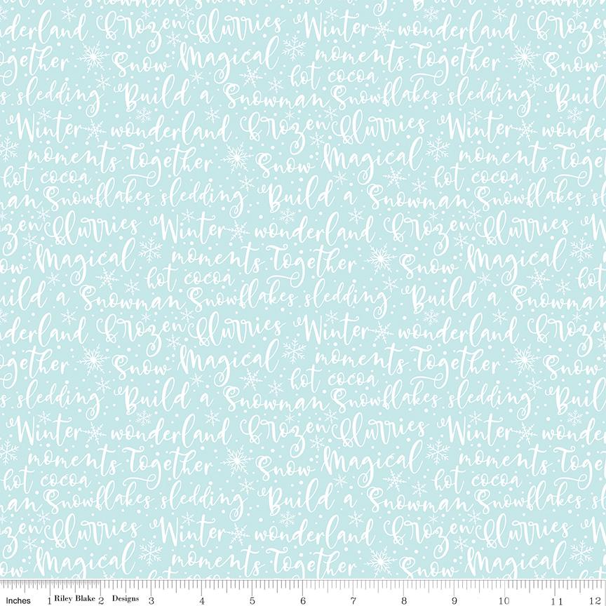 Winter Magic Winter Words Aqua by Dani Mogstad for Riley Blake Designs - C16363-AQUA