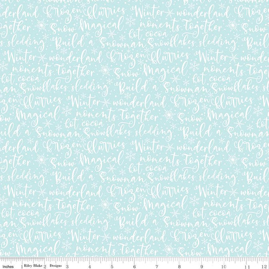 Winter Magic Winter Words Aqua by Dani Mogstad for Riley Blake Designs - C16363-AQUA
