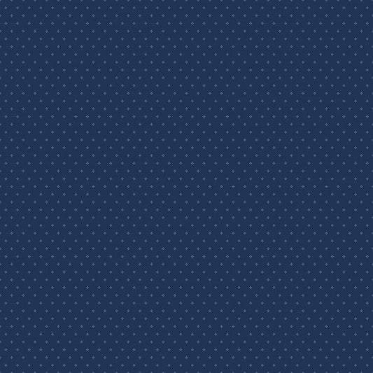 Essence Foils Navy by Fran Gulick for Riley Blake Designs - C16460-NAVY