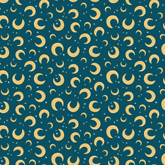 Baby Boy Moons Oxford by Lori Whitlock for Riley Blake Designs - C16762-OXFORD