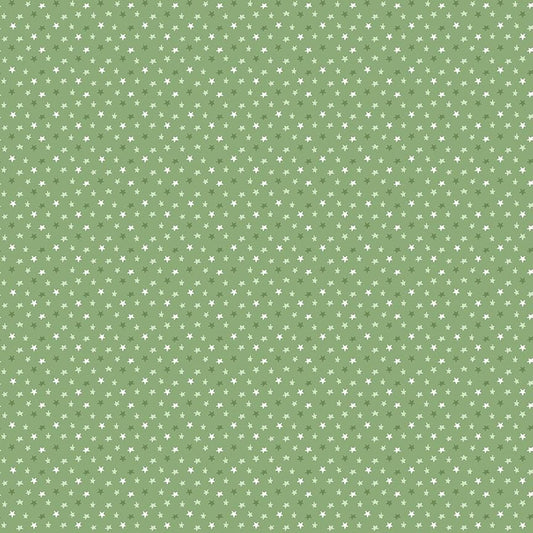 Baby Boy Stars Basil by Lori Whitlock for Riley Blake Designs - C16766-BASIL