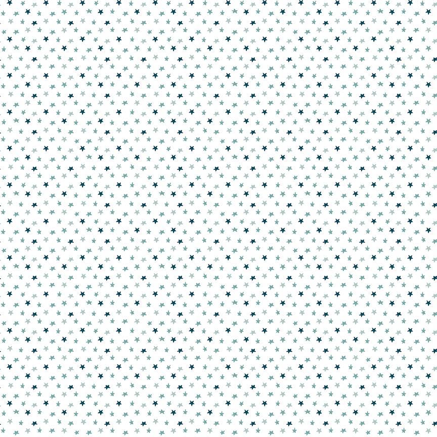 Baby Boy Stars White by Lori Whitlock for Riley Blake Designs - C16766-WHITE