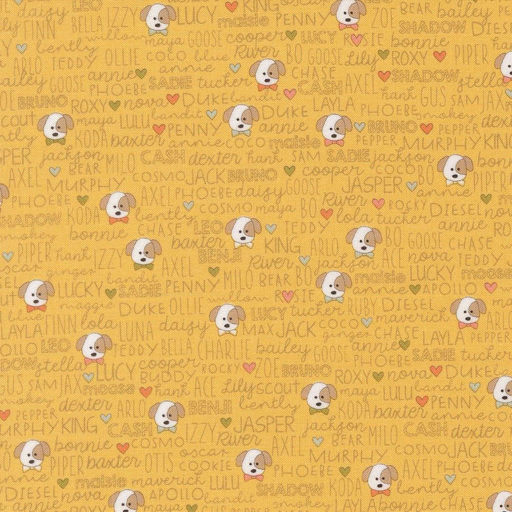 Lucky Buddies Text and Words Dogs Sun by Sweetwater for Moda Fabrics - 55702 14