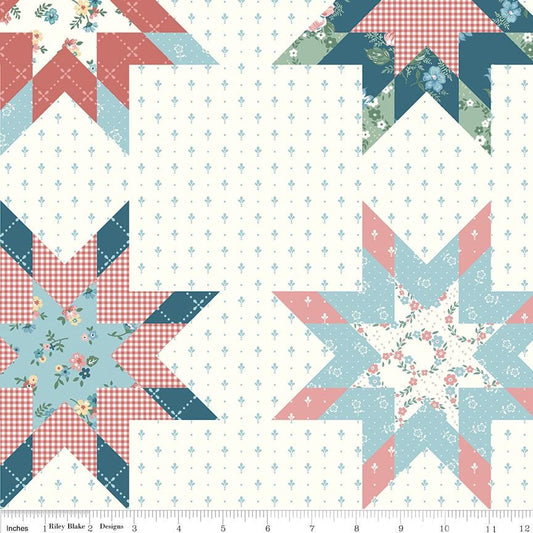 Mary Catherine Star Cheater Print Multi by Amy Smart for Riley Blake Designs - C16709-MULTI