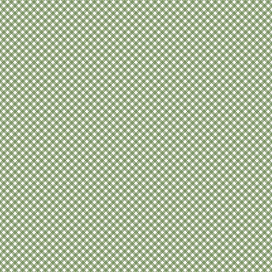 Baby Boy Gingham Basil by Lori Whitlock for Riley Blake Designs - C16765-BASIL