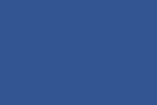 Quilting Cuddle Solid True Blue by Shannon Fabrics