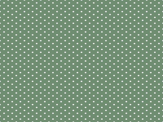 Quilting Cuddle Cottage Rose Lane Bitty Dot Meadow by Shannon Fabrics