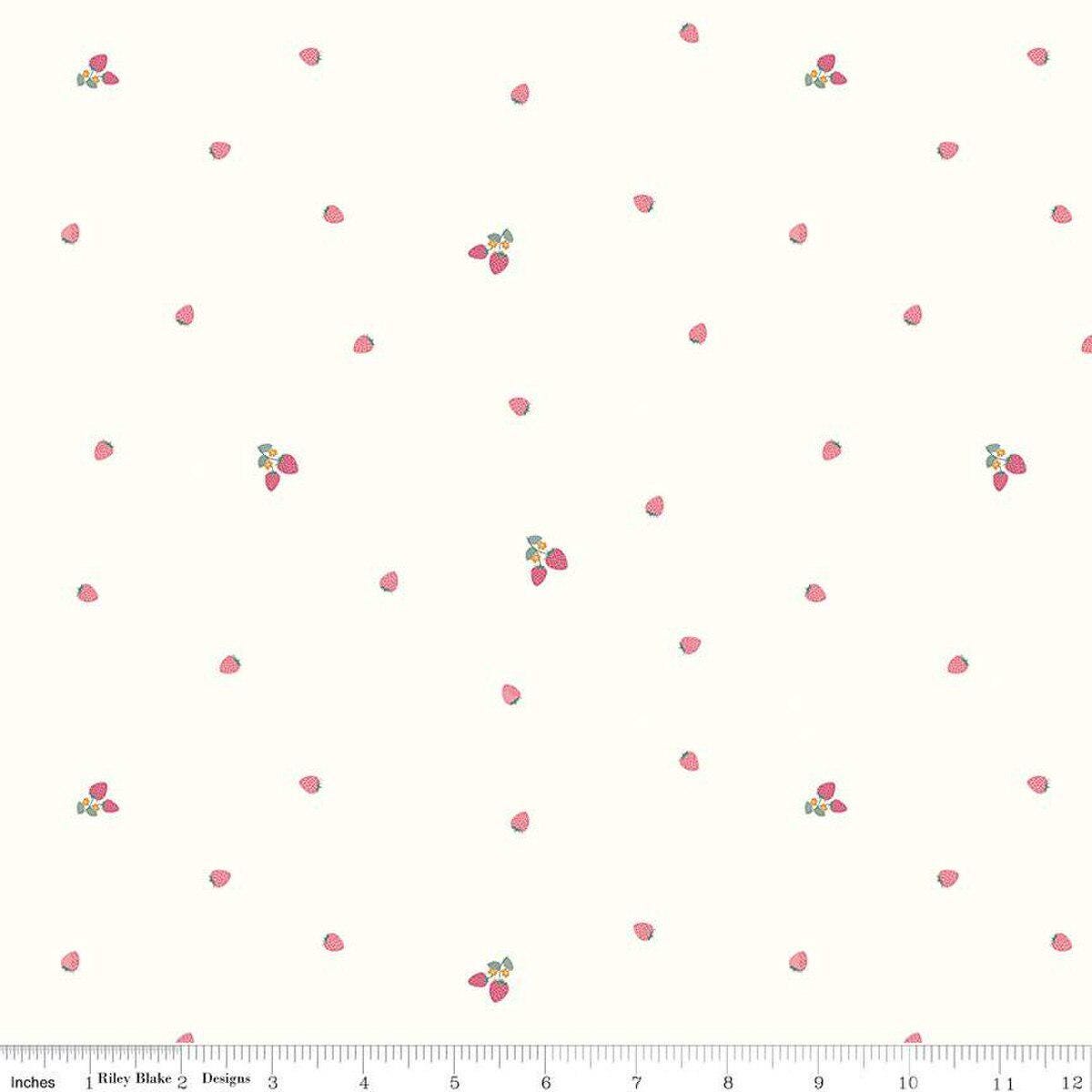 Hush Hush 5 Bitty Berries by Beverly McCullough for Riley Blake Designs - C16944-BERRIES