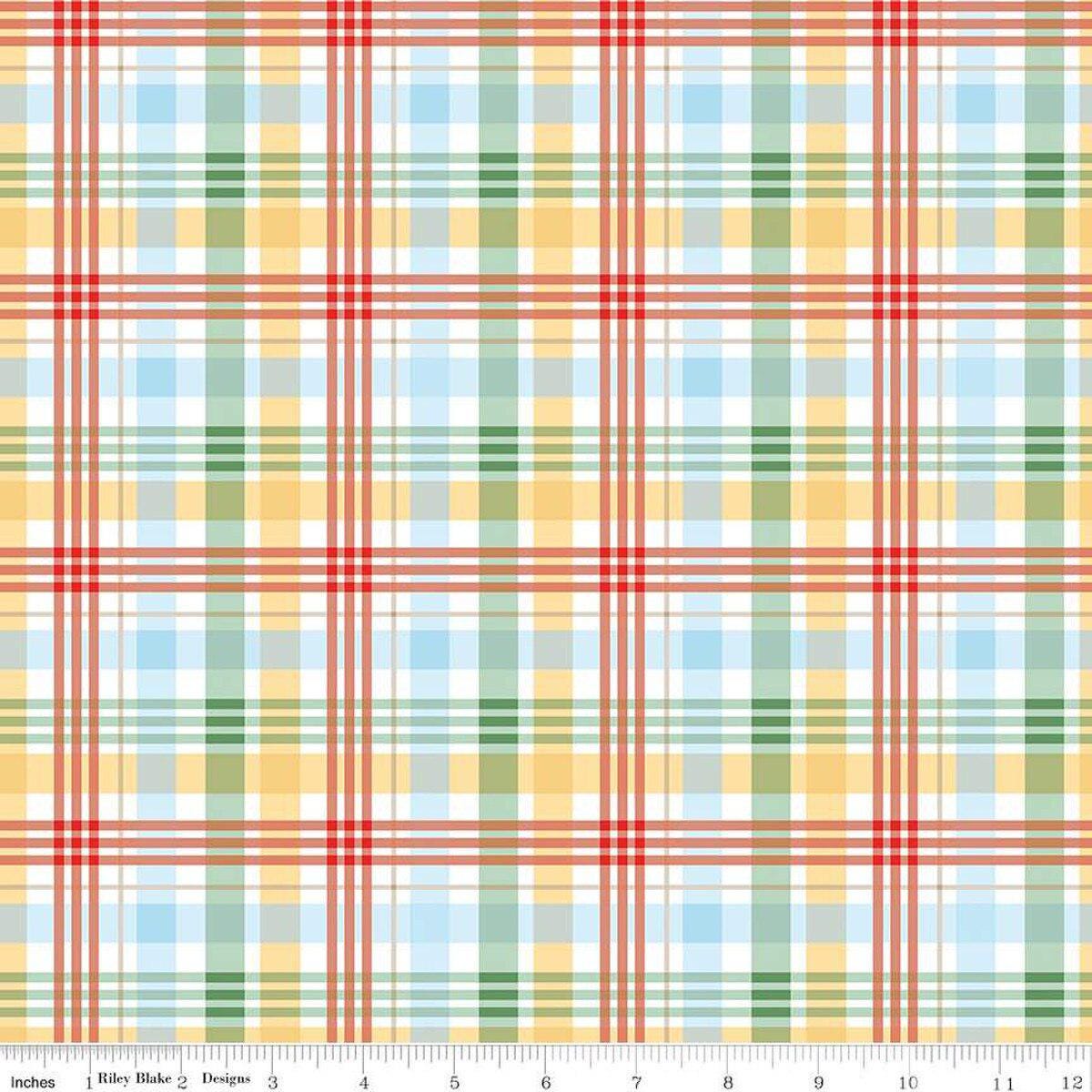Winnie the Pooh Plaid Multi by Echo Park Paper Co. for Riley Blake Designs - C17005-MULTI