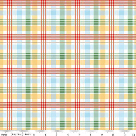 Winnie the Pooh Plaid Multi by Echo Park Paper Co. for Riley Blake Designs - C17005-MULTI