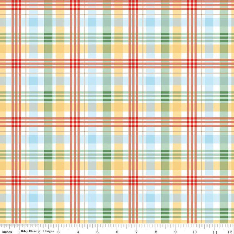 Winnie the Pooh Plaid Multi by Echo Park Paper Co. for Riley Blake Designs - C17005-MULTI