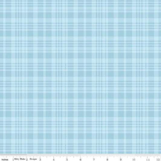 Winnie the Pooh Plaid Blue by Echo Park Paper Co. for Riley Blake Designs - C17005-BLUE