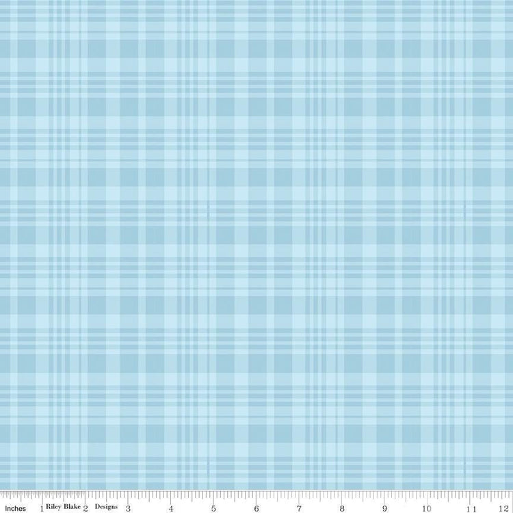 Winnie the Pooh Plaid Blue by Echo Park Paper Co. for Riley Blake Designs - C17005-BLUE
