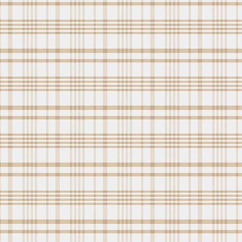Storyteller Plaids Happy Plaid Raw by Maureen Cracknell for Art Gallery Fabrics - PLD704