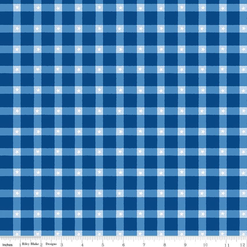 Firecracker Plaid Blue by My Mind's Eye for Riley Blake Designs - C17202-BLUE