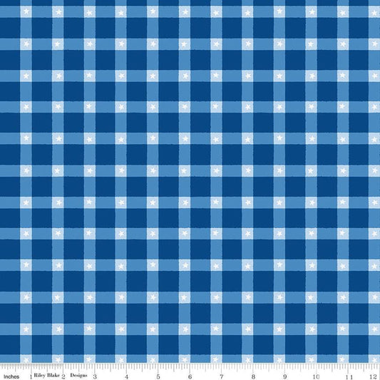 Firecracker Plaid Blue by My Mind's Eye for Riley Blake Designs - C17202-BLUE