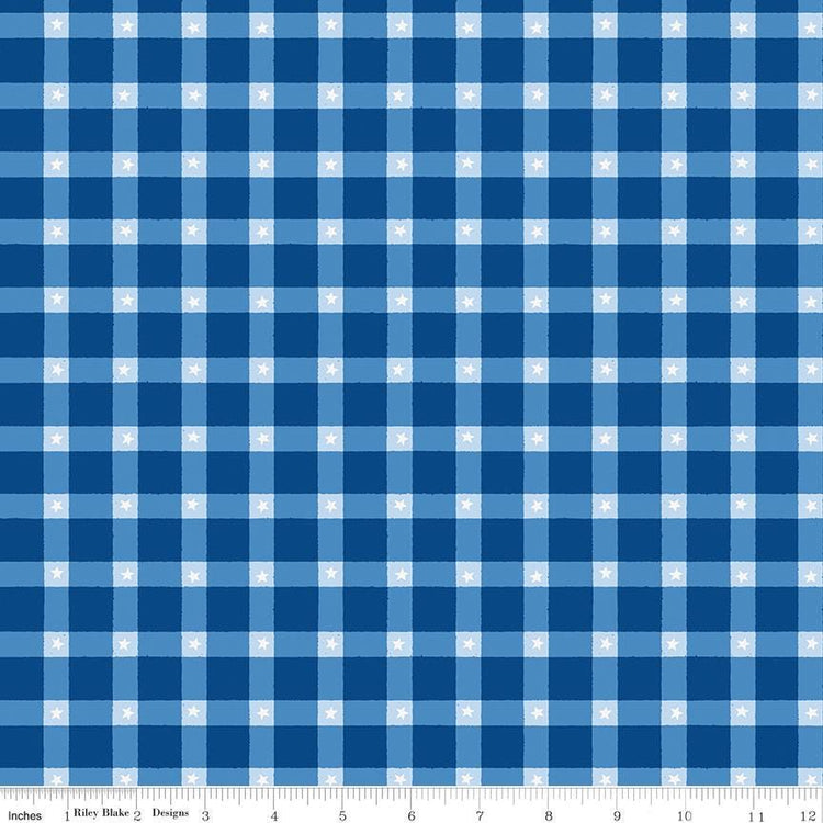 Firecracker Plaid Blue by My Mind's Eye for Riley Blake Designs - C17202-BLUE