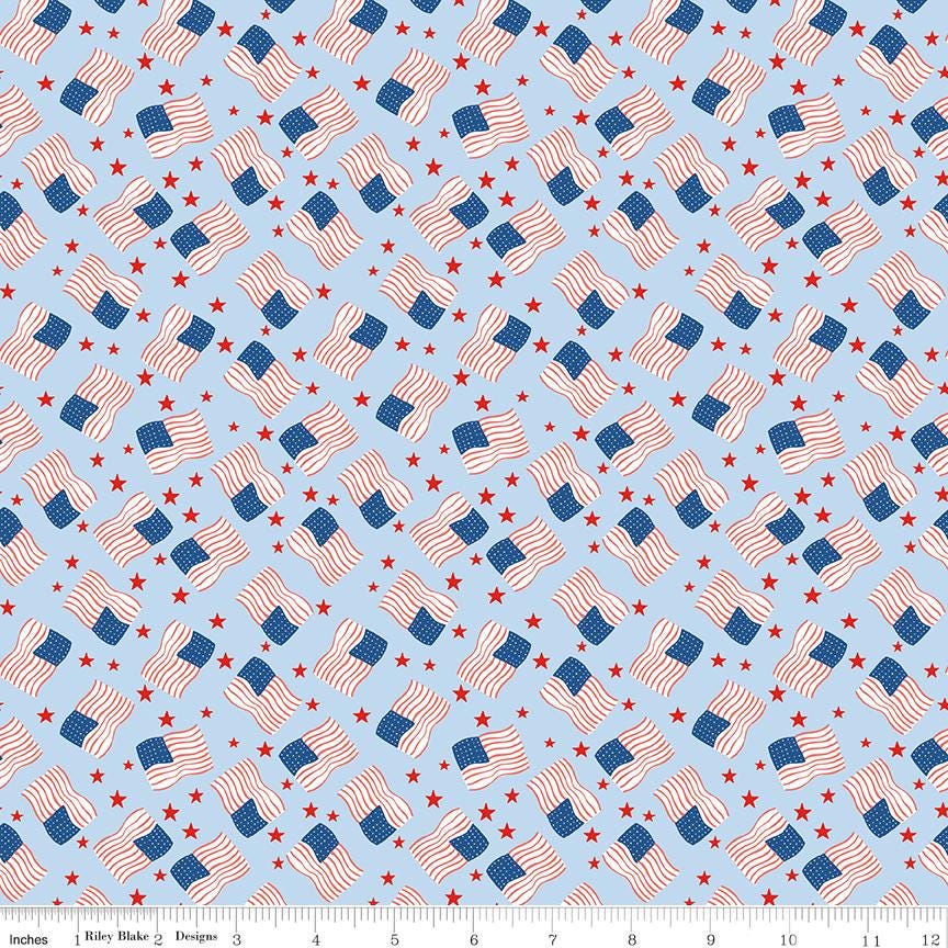 Firecracker Flags Frost by My Mind's Eye for Riley Blake Designs - C17203-FROST