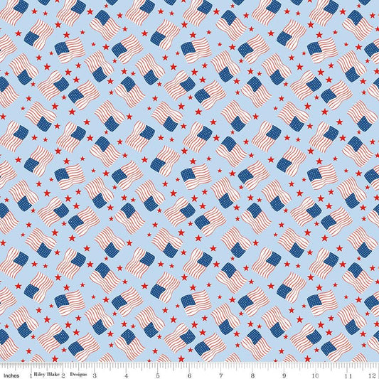 Firecracker Flags Frost by My Mind's Eye for Riley Blake Designs - C17203-FROST