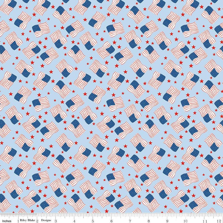 Firecracker Flags Frost by My Mind's Eye for Riley Blake Designs - C17203-FROST