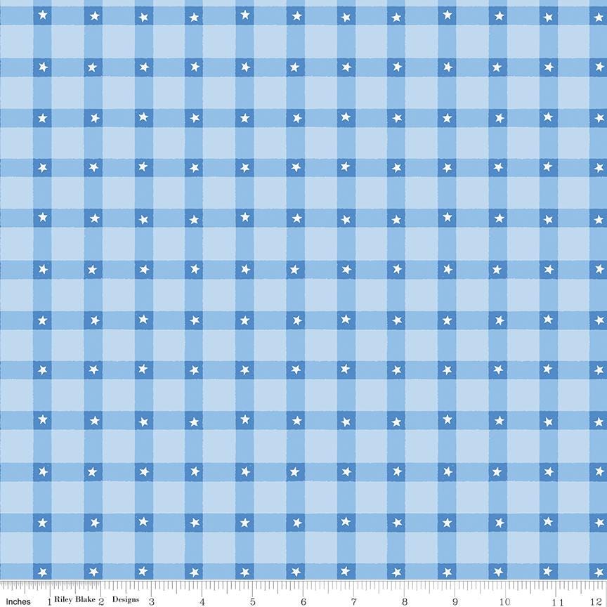 Firecracker Plaid Frost by My Mind's Eye for Riley Blake Designs - C17202-FROST