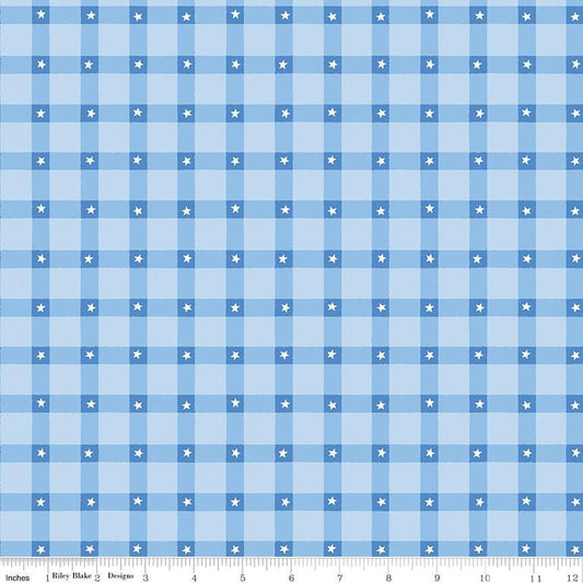 Firecracker Plaid Frost by My Mind's Eye for Riley Blake Designs - C17202-FROST