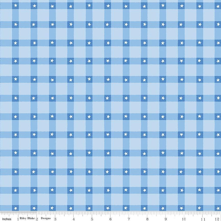 Firecracker Plaid Frost by My Mind's Eye for Riley Blake Designs - C17202-FROST