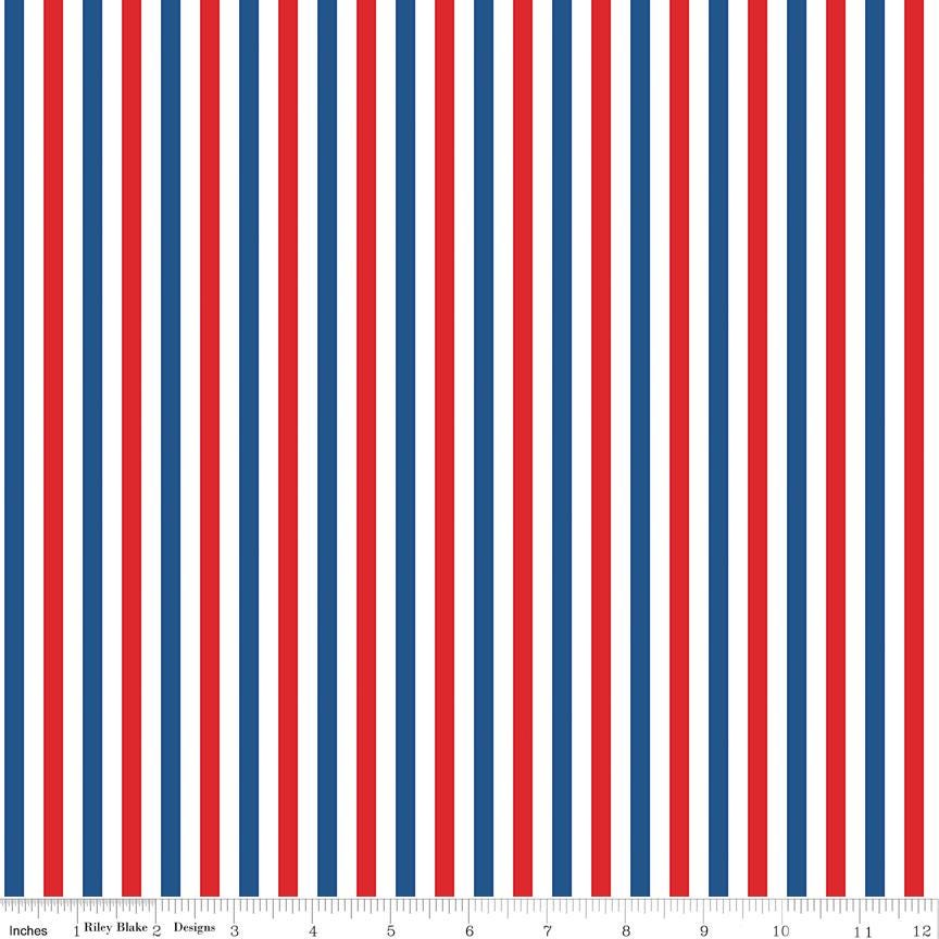 Firecracker Stripes Multi by My Mind's Eye for Riley Blake Designs - C17205-MULTI