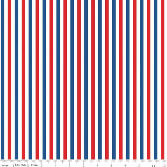 Firecracker Stripes Multi by My Mind's Eye for Riley Blake Designs - C17205-MULTI