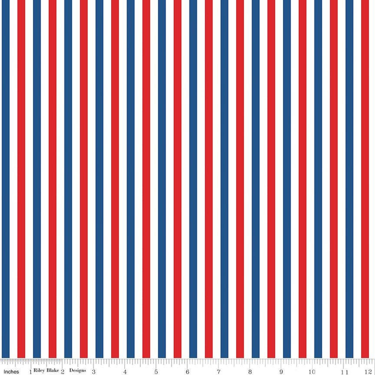 Firecracker Stripes Multi by My Mind's Eye for Riley Blake Designs - C17205-MULTI
