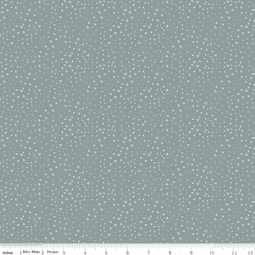 Leo & Savannah Terrain Blue by Deena Rutter for Riley Blake Designs - C17546-BLUE