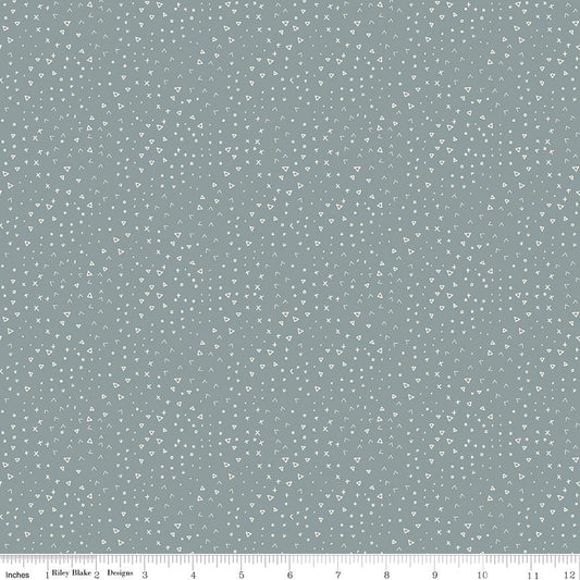 Leo & Savannah Terrain Blue by Deena Rutter for Riley Blake Designs - C17546-BLUE