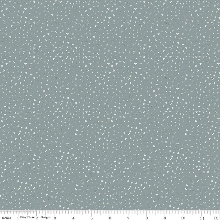 Leo & Savannah Terrain Blue by Deena Rutter for Riley Blake Designs - C17546-BLUE