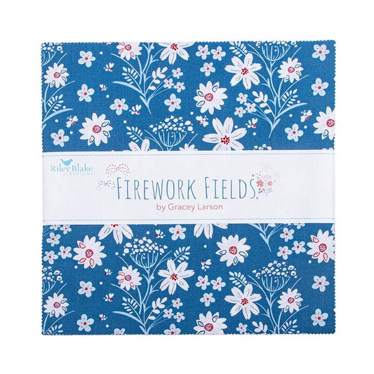 Firework Fields 10" Stacker by Gracey Larson for Riley Blake Designs - 10-17580-42