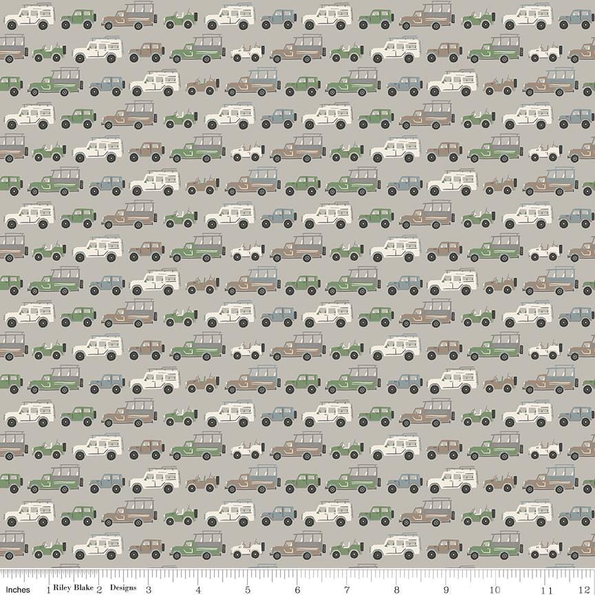 Leo & Savannah Rovers Gray by Deena Rutter for Riley Blake Designs - C17542-GRAY