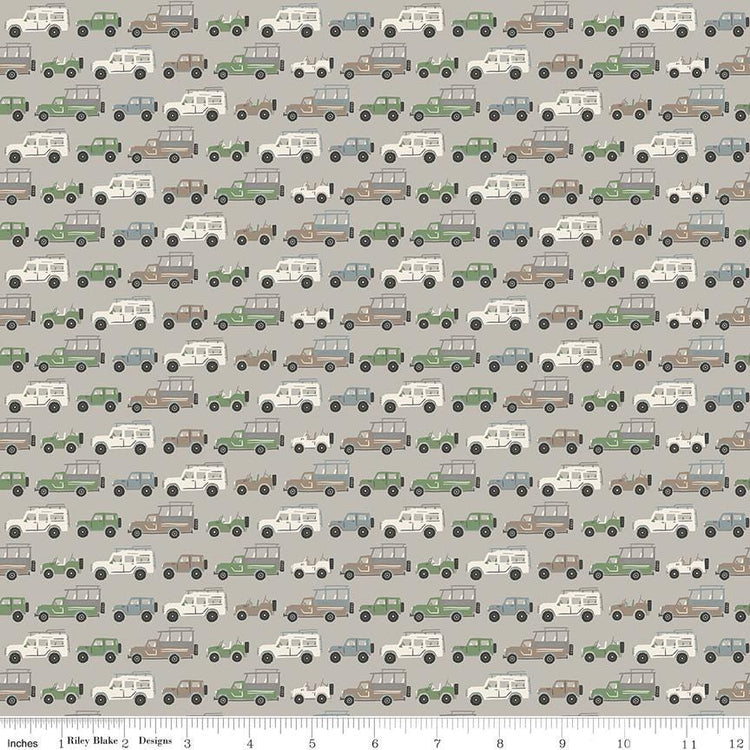 Leo & Savannah Rovers Gray by Deena Rutter for Riley Blake Designs - C17542-GRAY