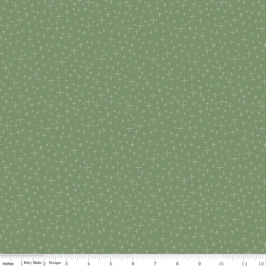 Leo & Savannah Criss Cross Green by Deena Rutter for Riley Blake Designs - C17545-GREEN