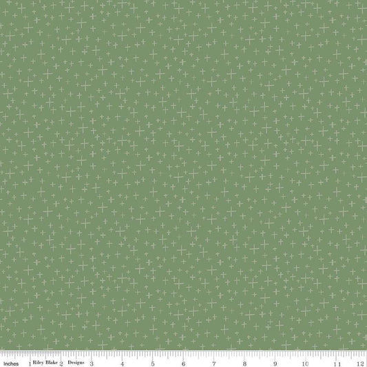 Leo & Savannah Criss Cross Green by Deena Rutter for Riley Blake Designs - C17545-GREEN