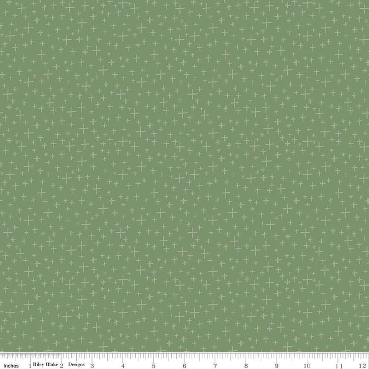 Leo & Savannah Criss Cross Green by Deena Rutter for Riley Blake Designs - C17545-GREEN
