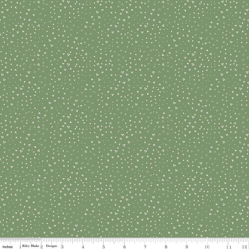 Leo & Savannah Terrain Green by Deena Rutter for Riley Blake Designs - C17546-GREEN