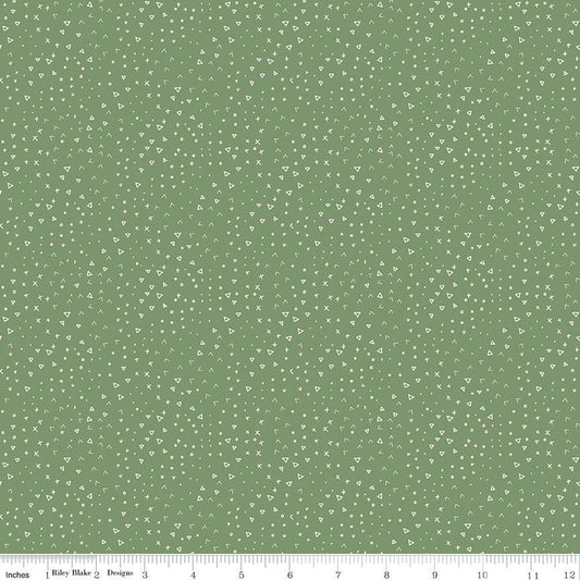 Leo & Savannah Terrain Green by Deena Rutter for Riley Blake Designs - C17546-GREEN
