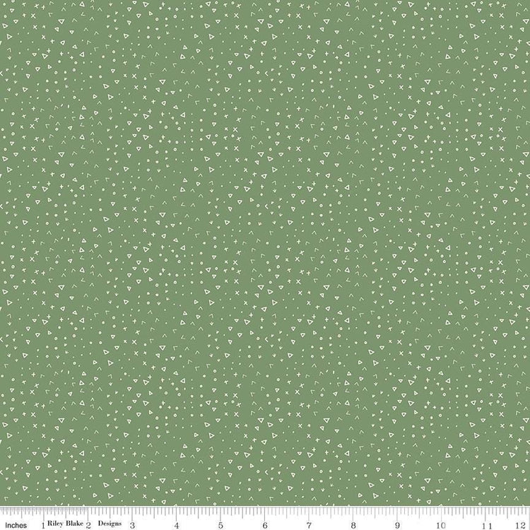 Leo & Savannah Terrain Green by Deena Rutter for Riley Blake Designs - C17546-GREEN