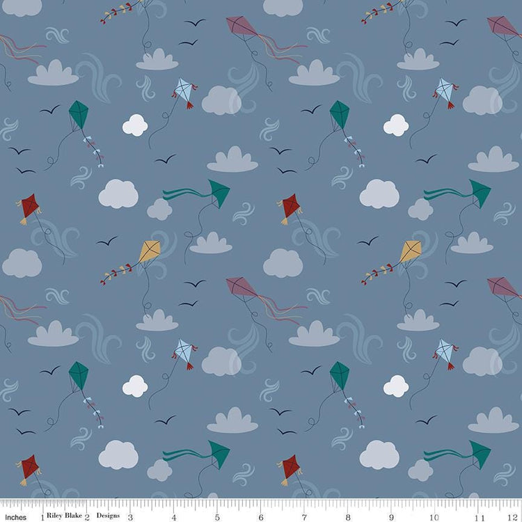 A Spoonful of Sugar Let's Go Fly a Kite Storm by Jennifer Long for Riley Blake Designs - C17083-STORM