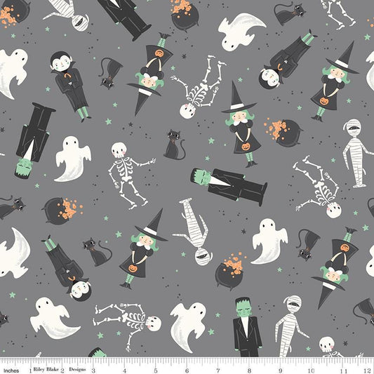 Frank and Friends Main Gray by My Mind's Eye for Riley Blake Designs - C17470-GRAY