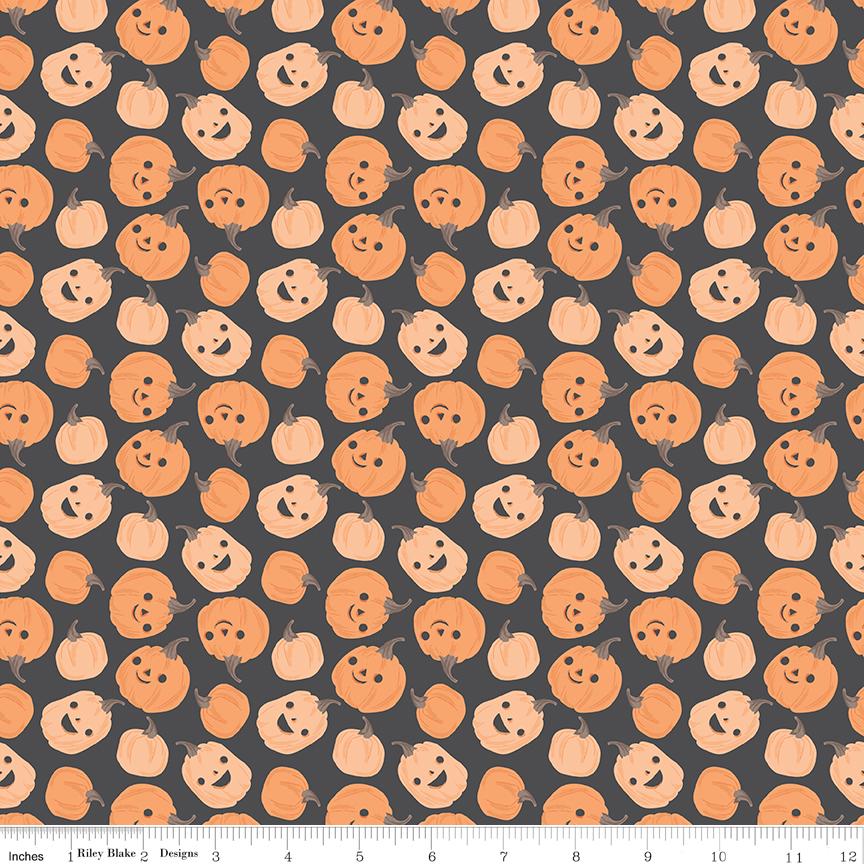 Frank and Friends Pumpkins Charcoal by My Mind's Eye for Riley Blake Designs - C17472-CHARCOAL