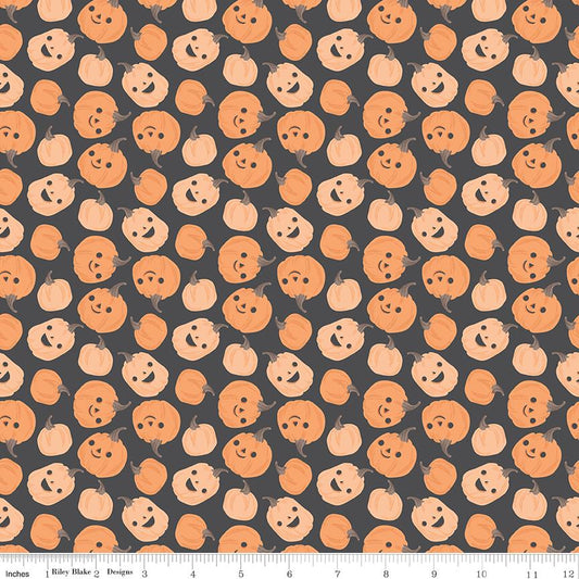 Frank and Friends Pumpkins Charcoal by My Mind's Eye for Riley Blake Designs - C17472-CHARCOAL