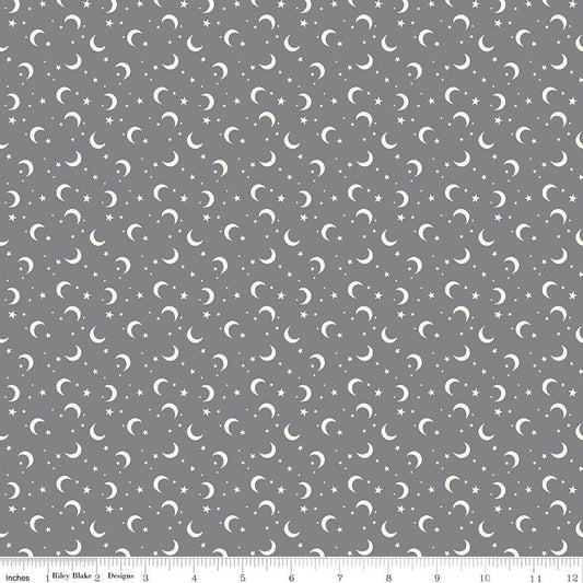 Frank and Friends Moon & Stars Gray by My Mind's Eye for Riley Blake Designs - C17477-GRAY